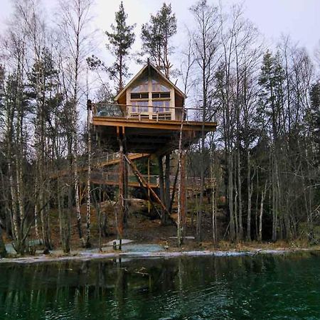Tretopphytter Pa Grensen - Beverhytta Med Robat Og Gjeddefiske Халден Экстерьер фото