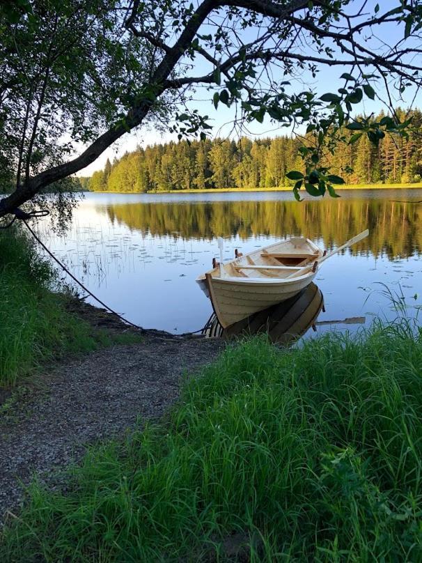 Tretopphytter Pa Grensen - Beverhytta Med Robat Og Gjeddefiske Халден Экстерьер фото