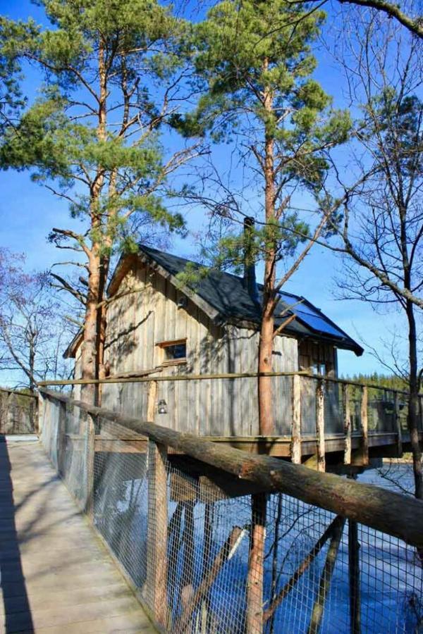 Tretopphytter Pa Grensen - Beverhytta Med Robat Og Gjeddefiske Халден Экстерьер фото